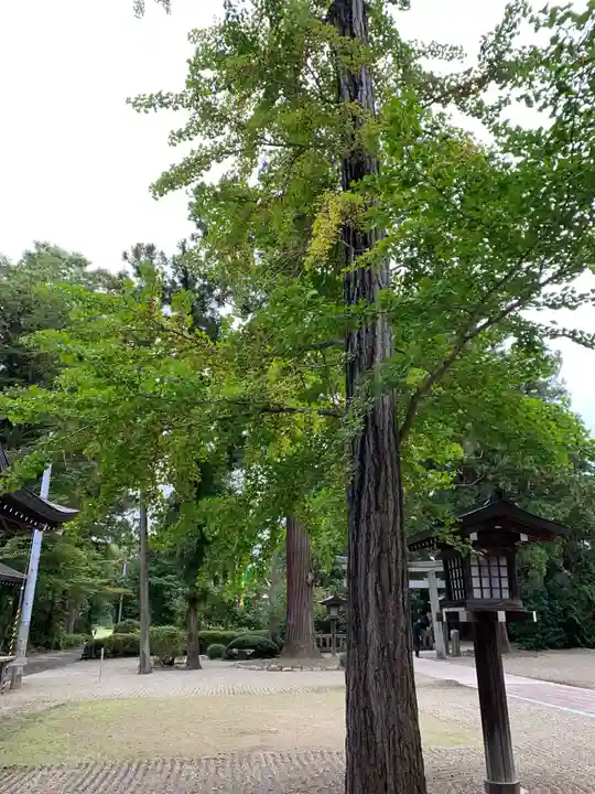 鎮守府八幡宮のその他建物