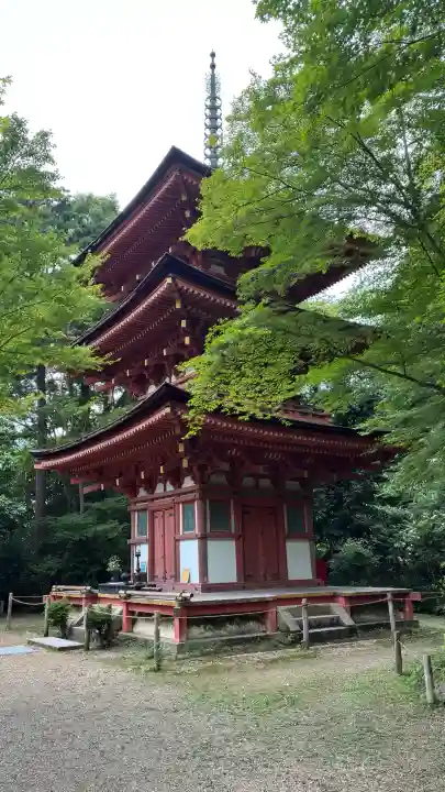 浄瑠璃寺(京都府)