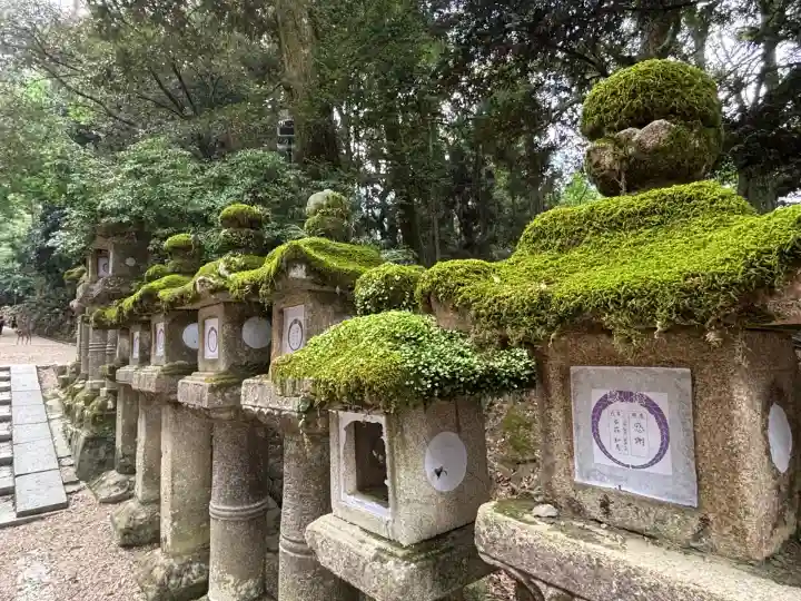 春日大社(奈良県)