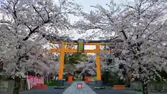 平野神社の鳥居