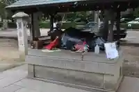 北野天満宮の狛犬