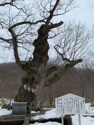那須温泉神社(栃木県)