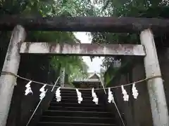 氷川神社の鳥居