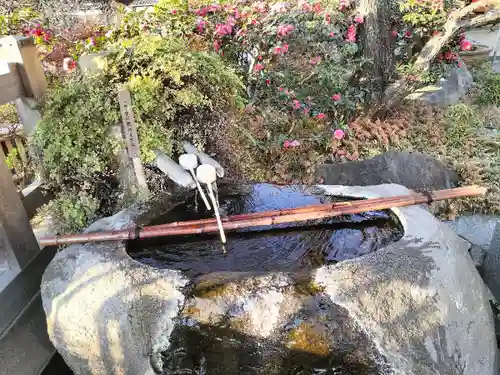 妙蓮寺(神奈川県)