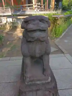 鳩森八幡神社の狛犬