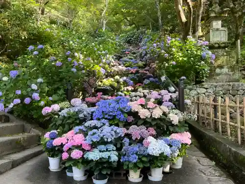 長谷寺(奈良県)