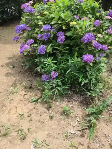 大宝八幡宮の庭園