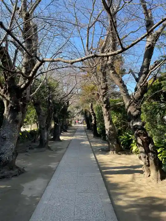 極楽寺(霊鷲山感應院極楽律寺)(神奈川県)