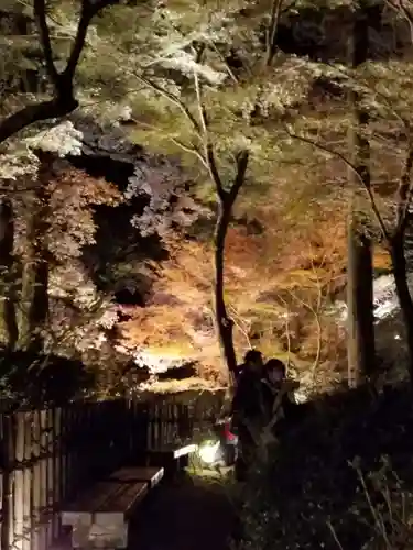 大興善寺の庭園