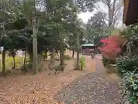 姫宮神社(埼玉県)