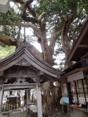 御霊神社のその他建物