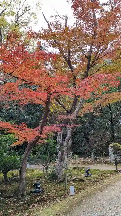 浄住寺(京都府)