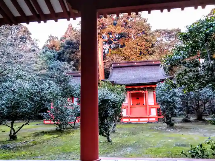 美濃國一宮 南宮大社(岐阜県)