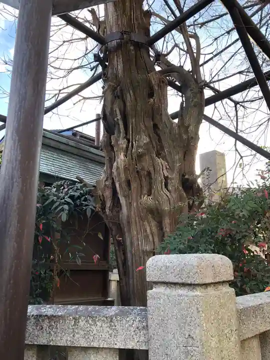 大宮姫命稲荷大神の自然