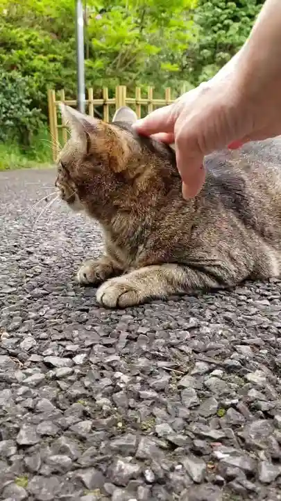 白金氷川神社(東京都)