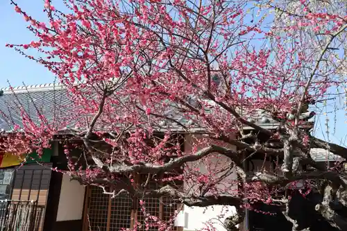 真福寺(奈良県)