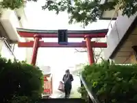 神田神社(神田明神)の鳥居