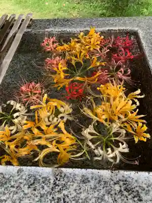 横浜 西方寺の手水舎