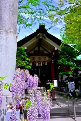江東天祖神社(東京都)