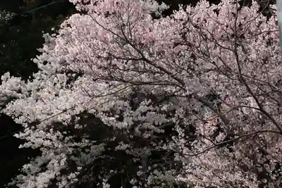 若草木神社の自然