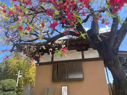 土橋観音堂(神奈川県)