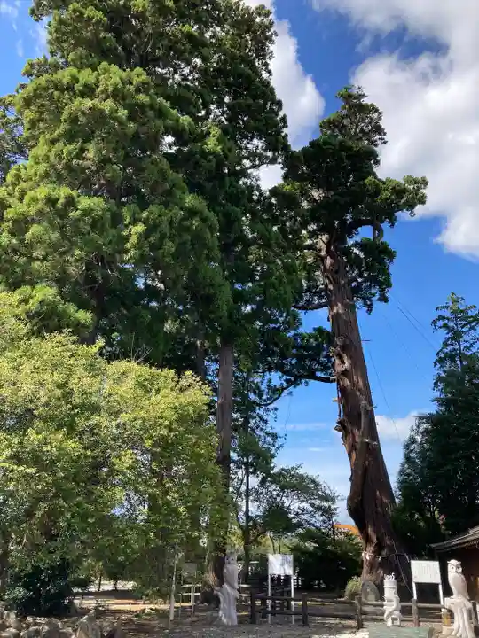 八幡宮(茨城県)