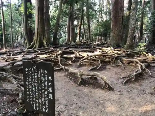 由岐神社の自然