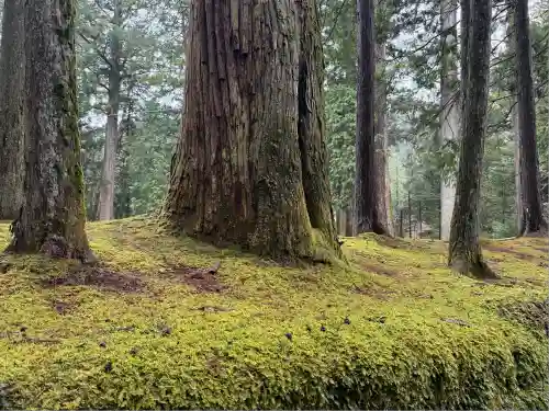 日光二荒山神社(栃木県)