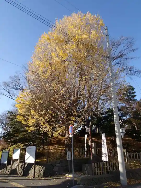 湯倉神社の自然