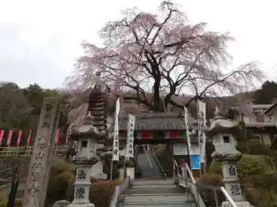 林陽寺の山門・神門