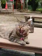 正一位 若草稲荷神社の動物