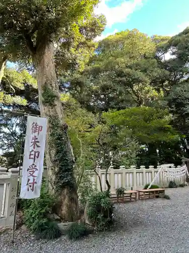 大甕神社(茨城県)