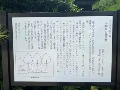 叶神社（東叶神社）(神奈川県)