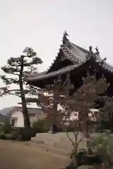 持光寺の建物その他