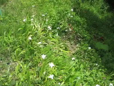 秩父大神社(埼玉県)
