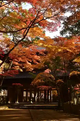 永源寺(滋賀県)