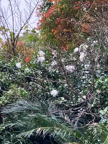 大山祇神社(福岡県)