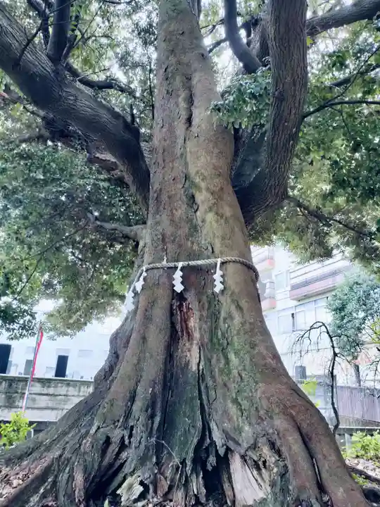 音無神社(静岡県)
