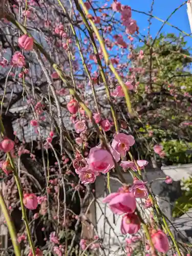 長円寺(東京都)
