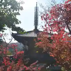 一乗寺の建物その他