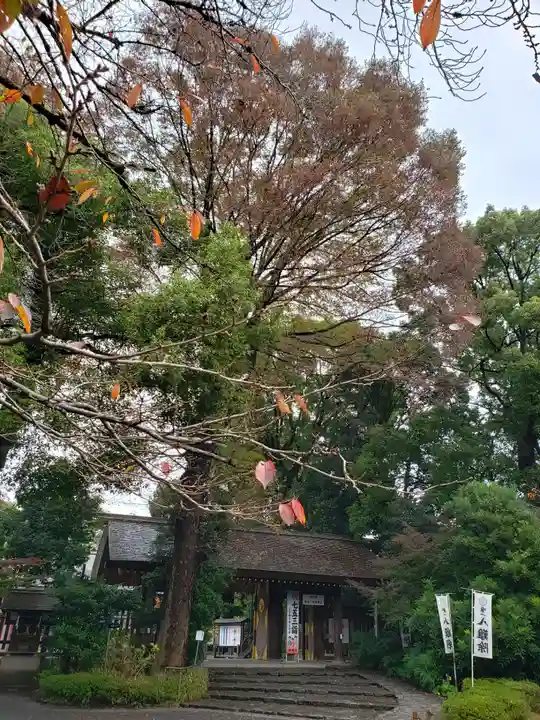 阿佐ヶ谷神明宮(東京都)