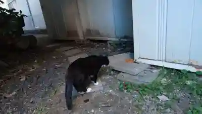 道祖神社(京都府)