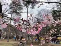 武蔵一宮氷川神社(埼玉県)