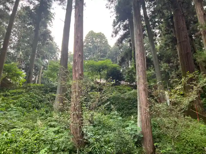 大宮温泉神社(栃木県)