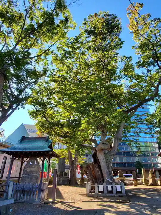 阿邪訶根神社の自然