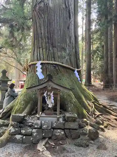 北口本宮冨士浅間神社(山梨県)