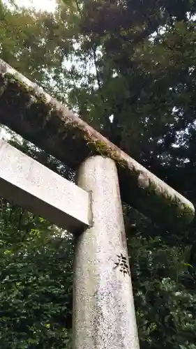 鷲宮神社の鳥居