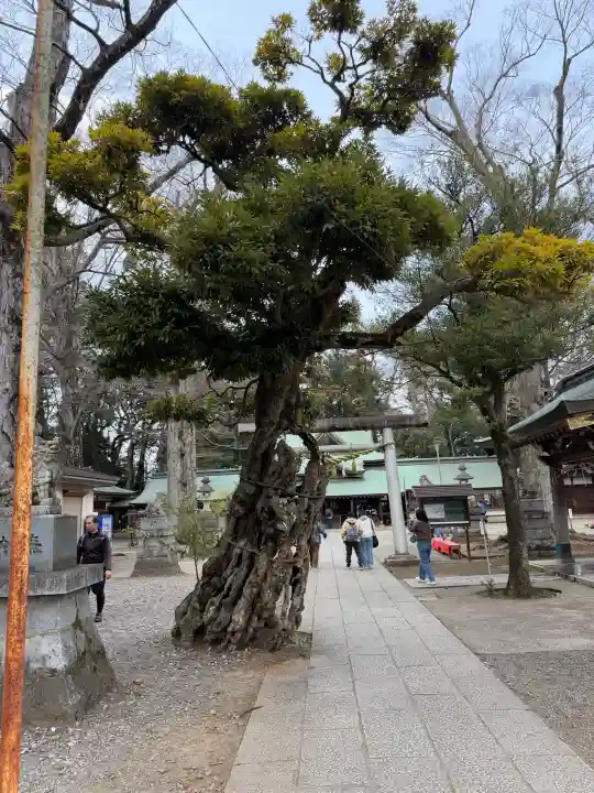 一言主神社の{uncategorized: "未分類", other: "その他", undefined: "問題あり", building: "その他建物", grave: "お墓", sacred_gate: "鳥居", guardian: "狛犬", statue: "像", buddha: "仏像", history: "歴史", nature: "自然", garden: "庭園", animal: "動物", pagoda: "塔", temizu: "手水舎", mountain_gate: "山門・神門", sanctuary: "本殿・本堂", subordinate: "末社・摂社", art: "芸術", scenery: "景色", jizo: "地蔵", ema: "絵馬", goshuin: "御朱印", omikuji: "おみくじ", items: "授与品その他", amulet: "お守り", goshuincho: "御朱印帳", eats: "食事", festival: "お祭り", votive_dance: "神楽", shichigosan: "七五三参", wedding: "結婚式", experience: "体験その他", initially: "初詣", around: "周辺", anti_infection: "感染症対策"}