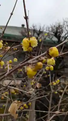 了峰禪寺(了峰寺)(京都府)