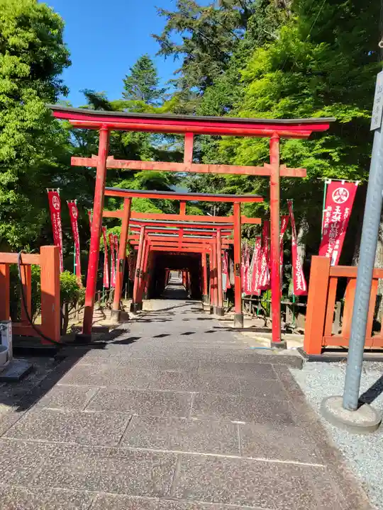 王地山まけきらい稲荷(兵庫県)